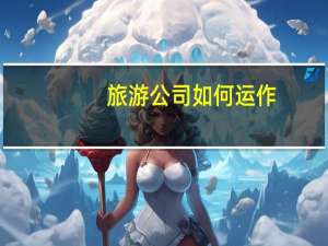 旅游公司如何运作（旅游公司）