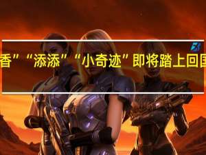 旅美大熊猫“美香”“添添”“小奇迹”即将踏上回国旅程 到底什么情况呢