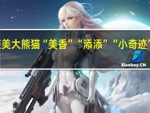 旅美大熊猫“美香”“添添”“小奇迹”已回国