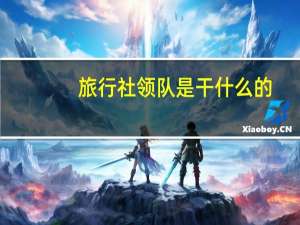 旅行社领队是干什么的