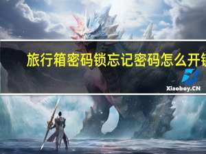 旅行箱密码锁忘记密码怎么开锁