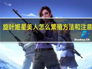 旋叶姬星美人怎么繁殖方法和注意事项