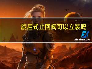 旋启式止回阀可以立装吗