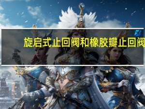 旋启式止回阀和橡胶瓣止回阀（橡胶瓣止回阀简介）