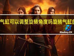 旋转气缸可以调整旋转角度吗 旋转气缸的生产厂家