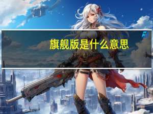 旗舰版是什么意思_