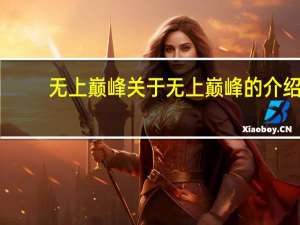 无上巅峰 关于无上巅峰的介绍