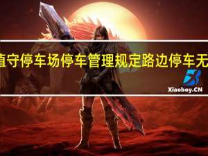 无人值守停车场停车管理规定 路边停车无人收费系统