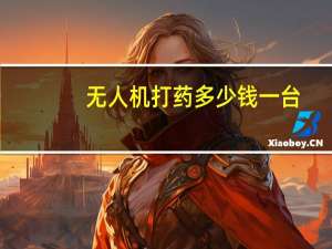无人机打药多少钱一台