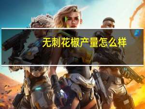 无刺花椒产量怎么样