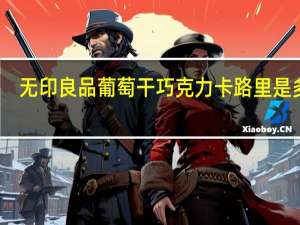 无印良品 葡萄干巧克力卡路里是多少