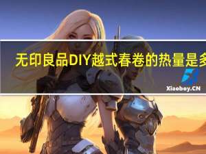 无印良品 DIY越式春卷的热量是多少