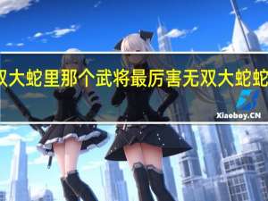 无双大蛇（三国蛇魔）里那个武将最厉害 无双大蛇蛇魔修改器