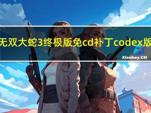 无双大蛇3终极版免cd补丁 codex版（无双大蛇3终极版免cd补丁 codex版功能简介）