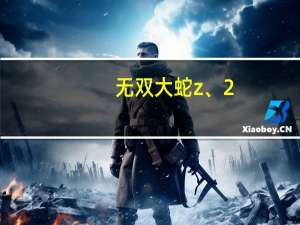 无双大蛇z、2(魔王和特别)里怎么单人放真无双大大大招啊 无双大蛇z修改器