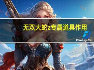 无双大蛇z专属道具作用（无双大蛇Z武器属性作用触发教程）