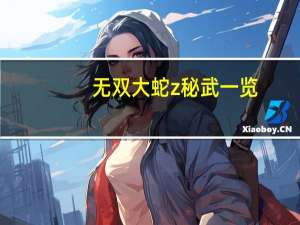 无双大蛇z秘武一览（《无双大蛇Z》所有武将武器名地址秘籍）