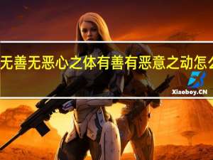 无善无恶心之体有善有恶意之动怎么回复（无善无恶心之体有善有恶意之动）