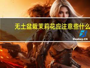 无土盆栽茉莉花应注意些什么