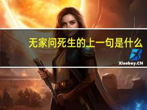 无家问死生的上一句是什么