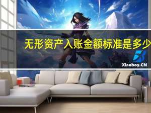 无形资产入账金额标准是多少
