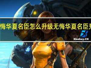 无悔华夏名臣怎么升级 无悔华夏名臣升级攻略