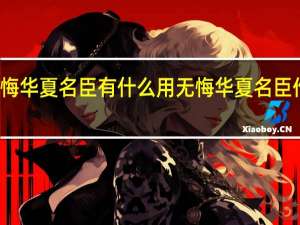 无悔华夏名臣有什么用 无悔华夏名臣作用介绍