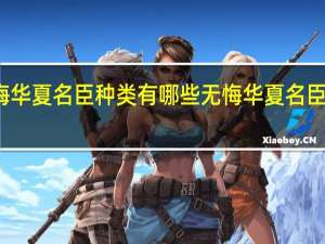 无悔华夏名臣种类有哪些 无悔华夏名臣种类介绍