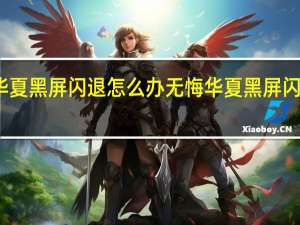 无悔华夏黑屏闪退怎么办 无悔华夏黑屏闪退解决方法