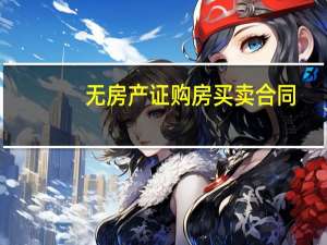 无房产证购房买卖合同