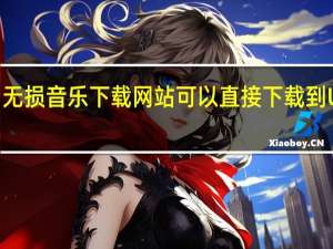 无损音乐下载网站可以直接下载到U盘吗（无损音乐下载网站可以直接下载）