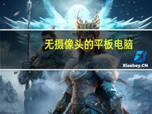 无摄像头的平板电脑