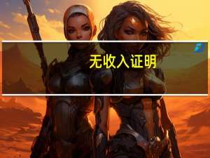 无收入证明
