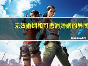 无效婚姻和可撤消婚姻的异同
