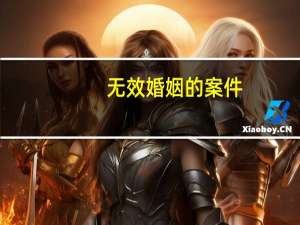 无效婚姻的案件