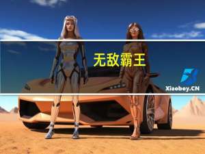 无敌霸王（霸皇无敌简介）