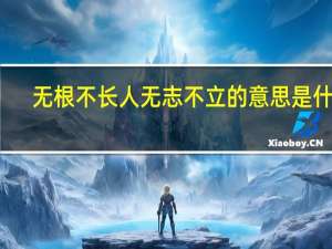 无根不长人无志不立的意思是什么