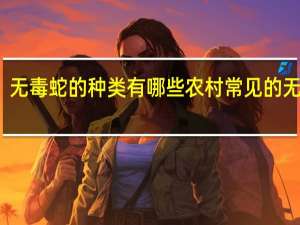 无毒蛇的种类有哪些 农村常见的无毒蛇