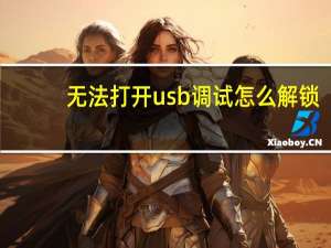 无法打开usb调试怎么解锁（无法打开usb调试怎么刷机）
