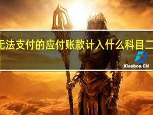 无法支付的应付账款计入什么科目二级科目（无法支付的应付账款计入什么科目）