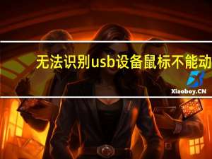 无法识别usb设备鼠标不能动（无法识别usb设备）