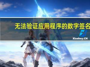 无法验证应用程序的数字签名（无法验证应用程序）