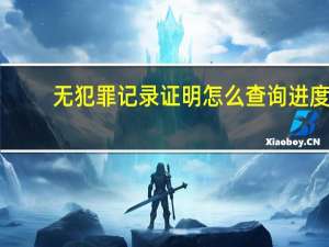 无犯罪记录证明怎么查询进度