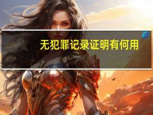 无犯罪记录证明有何用