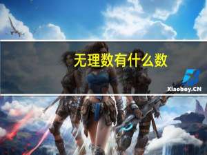 无理数有什么数