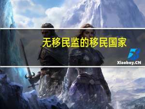 无移民监的移民国家