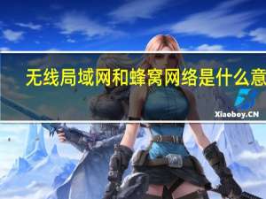 无线局域网和蜂窝网络是什么意思（无线局域网和蜂窝网络是什么意思）
