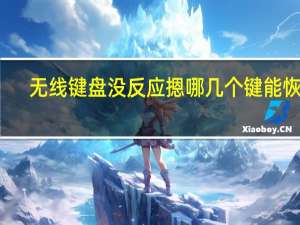 无线键盘没反应摁哪几个键能恢复（无线键盘没反应）