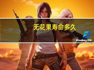 无花果寿命多久