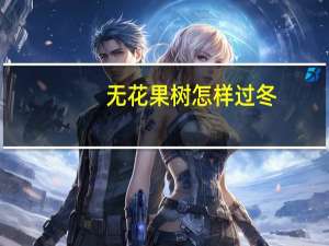 无花果树怎样过冬